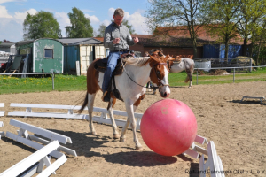 2017-05-13 Trail- und Hindernistraining