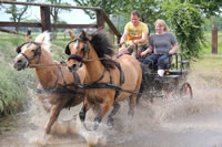 Trail- und Hindernistraining 2014