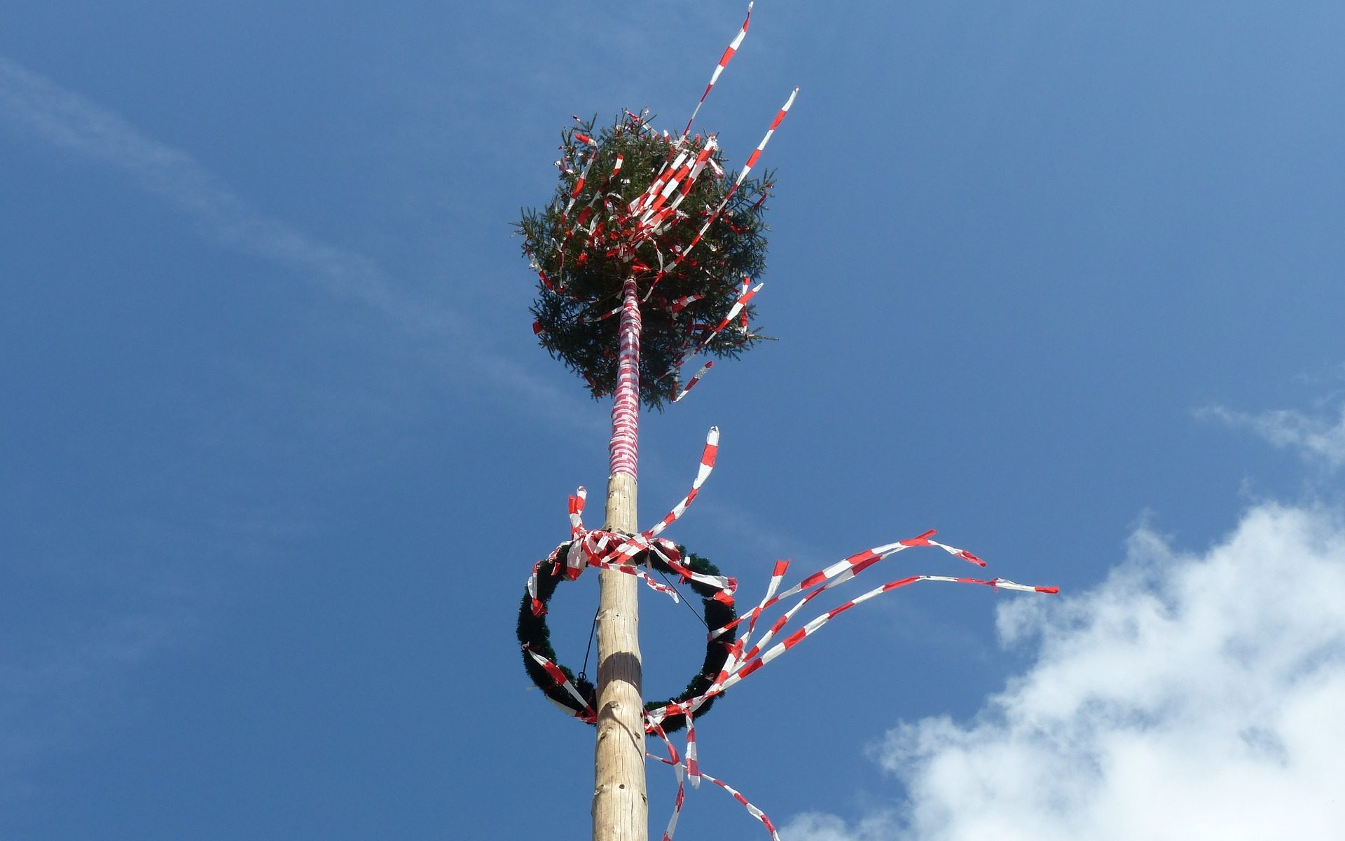 Maibaum