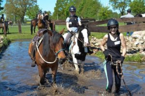 Trail- und Hindernistraining 2019 @ RuF Okel u.U. e.V.