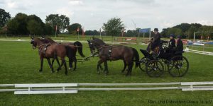 Fahrturnier 2018 @ RuF Okel u.U. e.V. | Syke | Niedersachsen | Deutschland