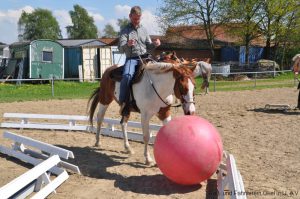 Trail- und Hindernistraining 2018 @ RuF Okel u.U. e.V.